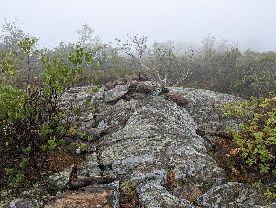 Lion's Head Trail