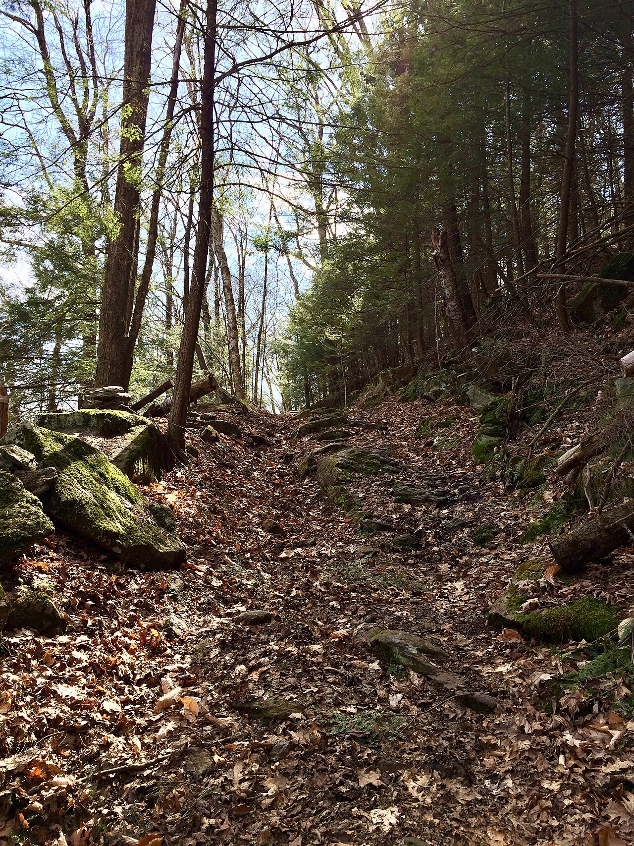 Pine Knob Loop